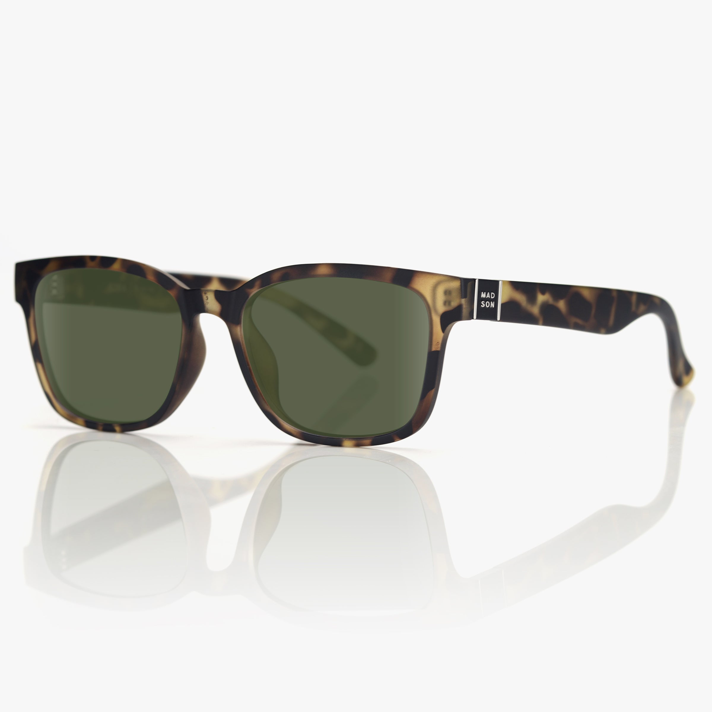 Ezra - Tortoise / G15 Polarized