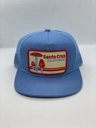 Santa Cruz, CA Mushrooms - Purpose-Built / Home of the Trades